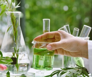 Classification-of-Tannins