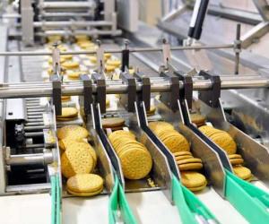 food-plant-consultant-1